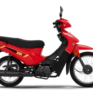 MOTO ZANELLA ZB-110 Z3 ST  RAYO/TAMBOR